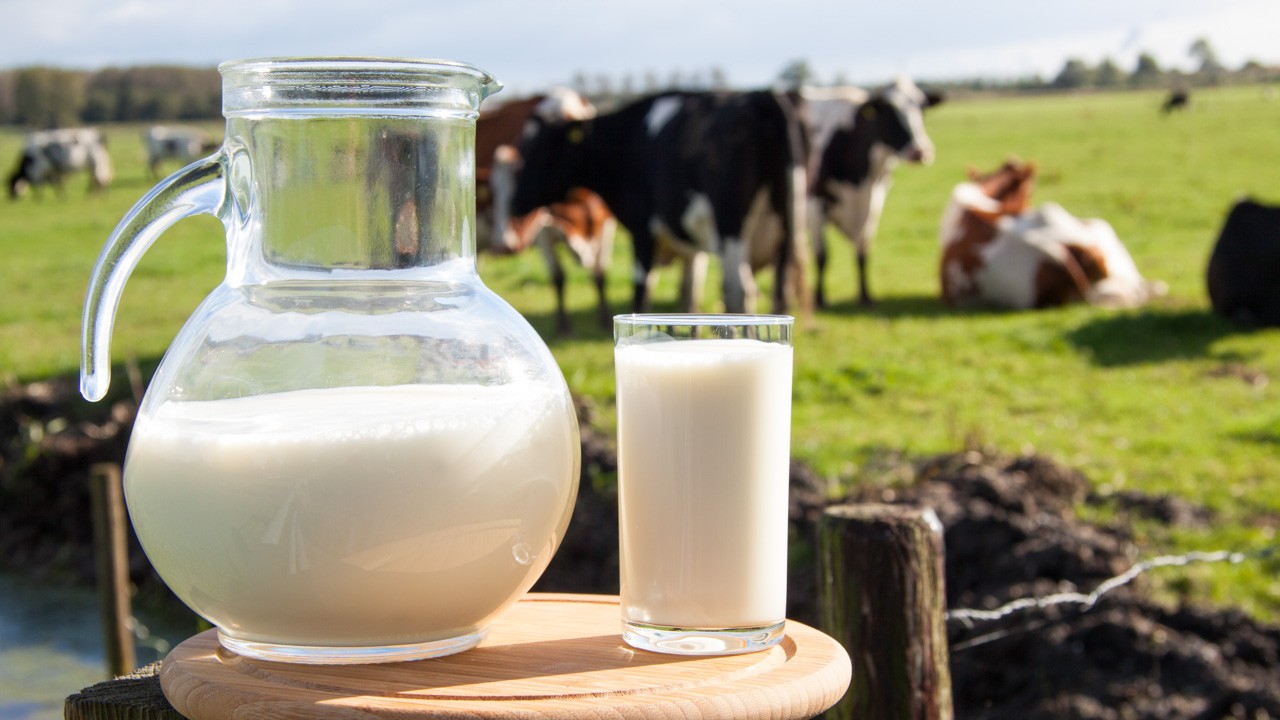 Our Products | Organic Milk | Organic Dairy Hub